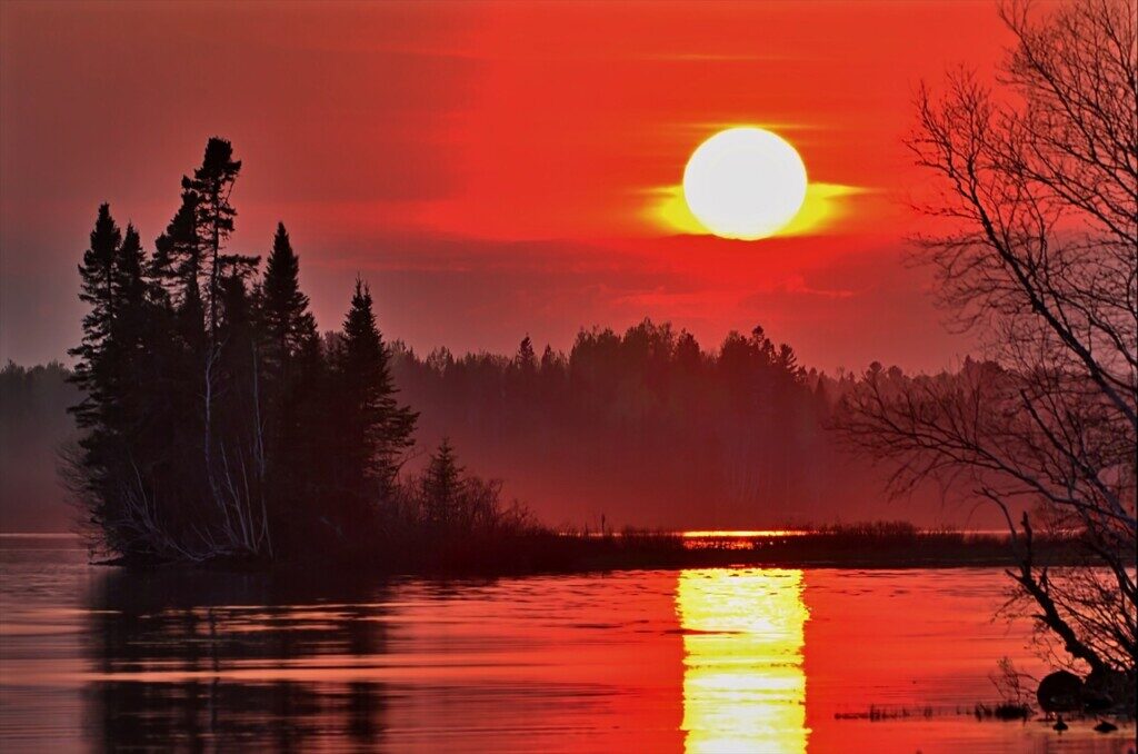 «Мы спорили о смысле жизни:…»