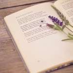 Просто хорошее стихотворение